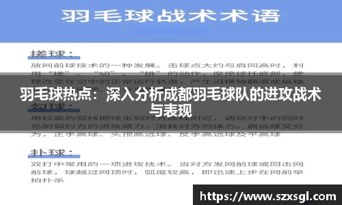羽毛球热点：深入分析成都羽毛球队的进攻战术与表现